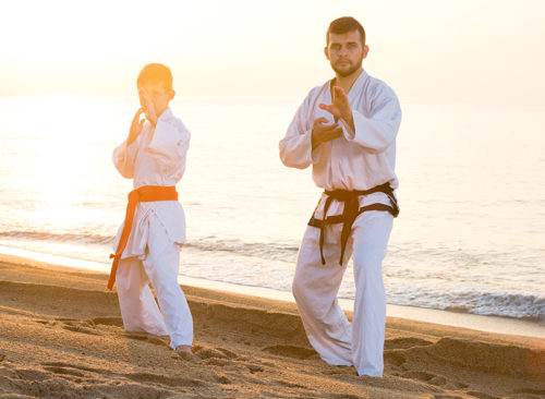 father son martial arts